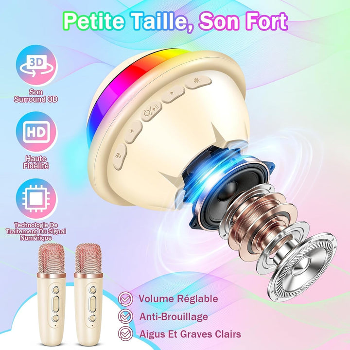 JONRRYIN Karaoke Anlage mit 2 Mikrofonen, Tragbare Bluetooth Karaoke Maschine Kinder mit Disco Licht