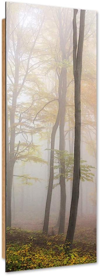 Wanddeko Wald Kunst modern Bilder Landschaft Grau 40x120 cm M14620 40x120 cm, M14620 40x120 cm
