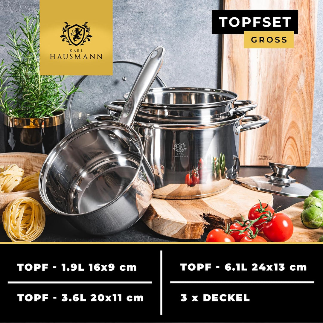 Topfset Induktion 3-teilig, Kochtopf Set mit Glasdeckel, Edelstahl mattiert, Induktions Töpfe Set un