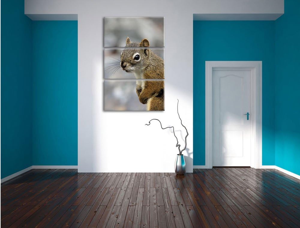Pixxprint kleines wachsames Eichhörnchen als Leinwandbild/Grösse: 3 Teilig (120x80) cm/Wandbild/Kuns