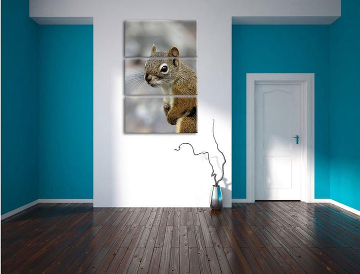 Pixxprint kleines wachsames Eichhörnchen als Leinwandbild/Grösse: 3 Teilig (120x80) cm/Wandbild/Kuns