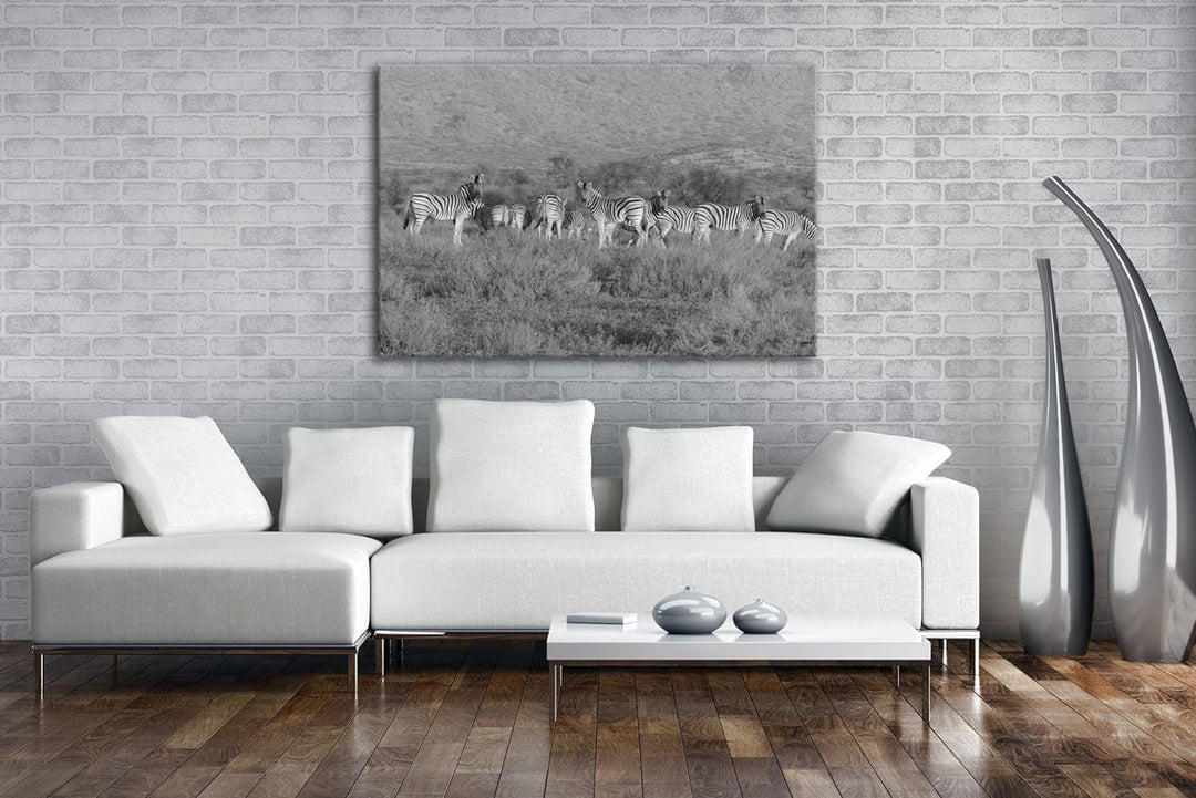 deyoli kleine Zebra Gruppe in der Savanne Effekt: Schwarz/Weiss Format: 80x60 als Leinwand, Motiv fe