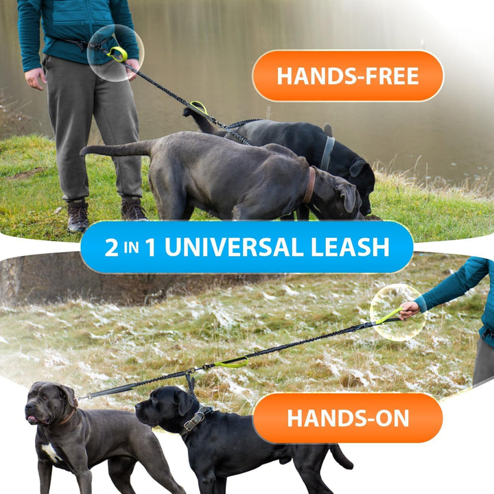 Joggingleine für Hunde zum Laufen, Joggen, Wandern | 2 in 1 Joggingleine und Normale Hundeleine für