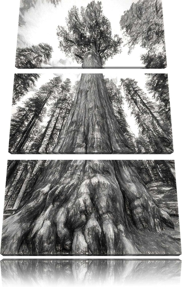 Pixxprint Mammutbaum im Regenwald als Leinwandbild - Grösse: 3-Teilig (120x80cm) - Wandbild - Kunstd