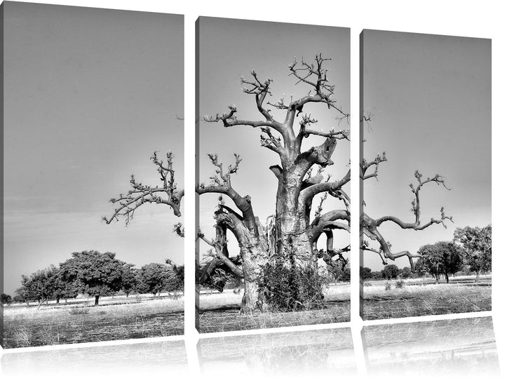 Pixxprint Monocrome, vertrockneter Baum in der Savanne 3-Teiler Leinwandbild 120x80 Bild auf Leinwan