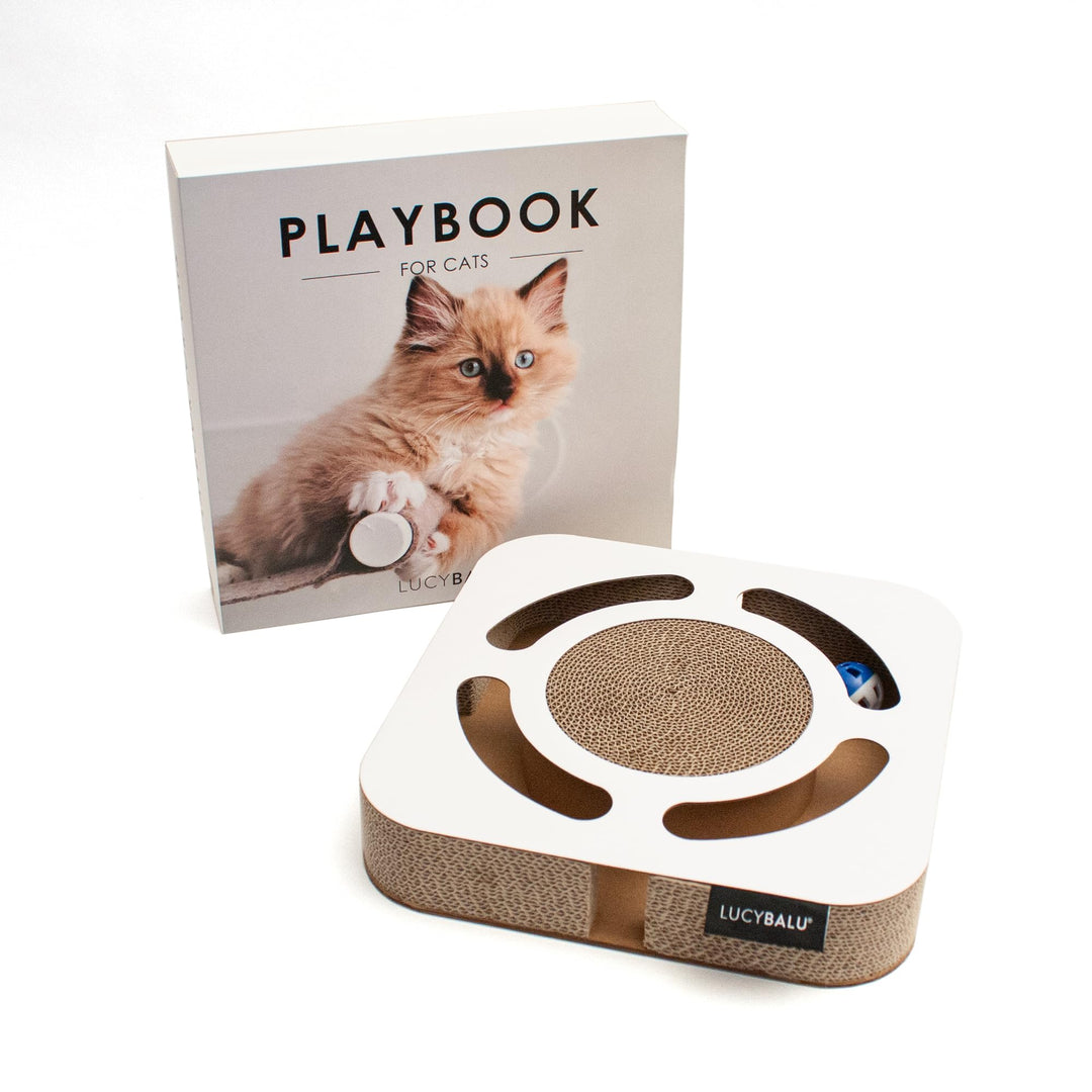 LucyBalu® Playbook Katzen Kratzbrett mit Ball | Fummelbrett | Katzenspielsachen aus Kratzpappe | Int