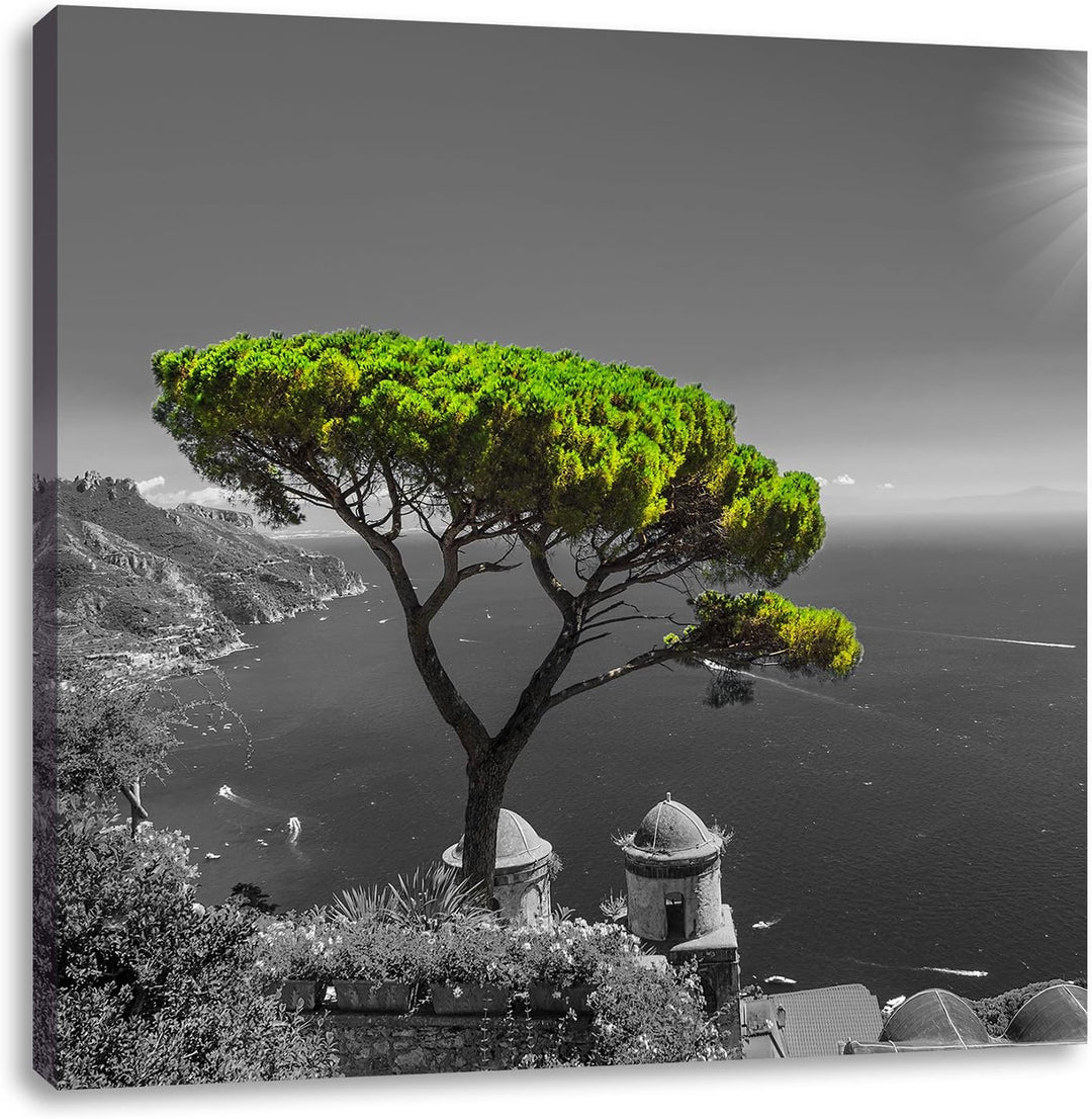 Pixxprint Mediteraner Baum am Mittelmeer schwarz/weiss, Format: 70x70 auf Leinwand, 70x70