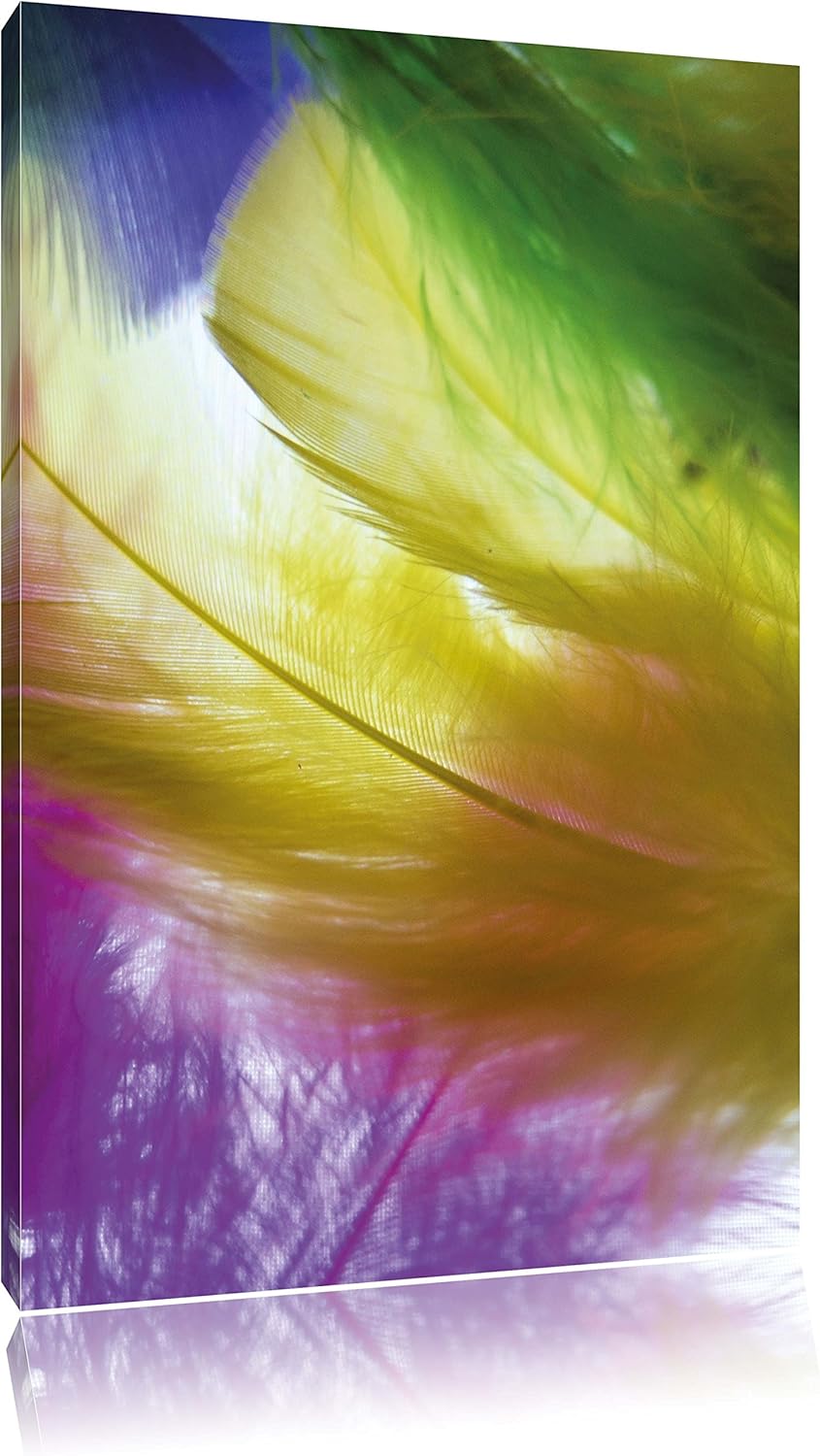 Pixxprint Bunte Federn, Format: 100x70 auf Leinwand, XXL riesige Bilder fertig gerahmt mit Keilrahme