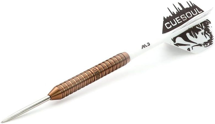 CUESOUL Big Beast 90% 26g/27g Steel Tip Tungsten Dart Set mit Dart Case 26g CSBB-90Y26K5, 26g CSBB-9