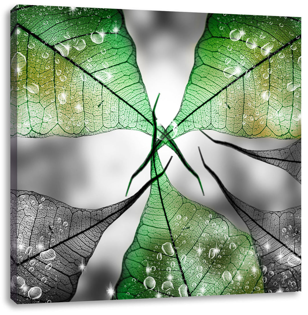 Pixxprint grüne Blätter mit Wassertropfen schwarz/weiss, Format: 70x70 auf Leinwand, 70x70