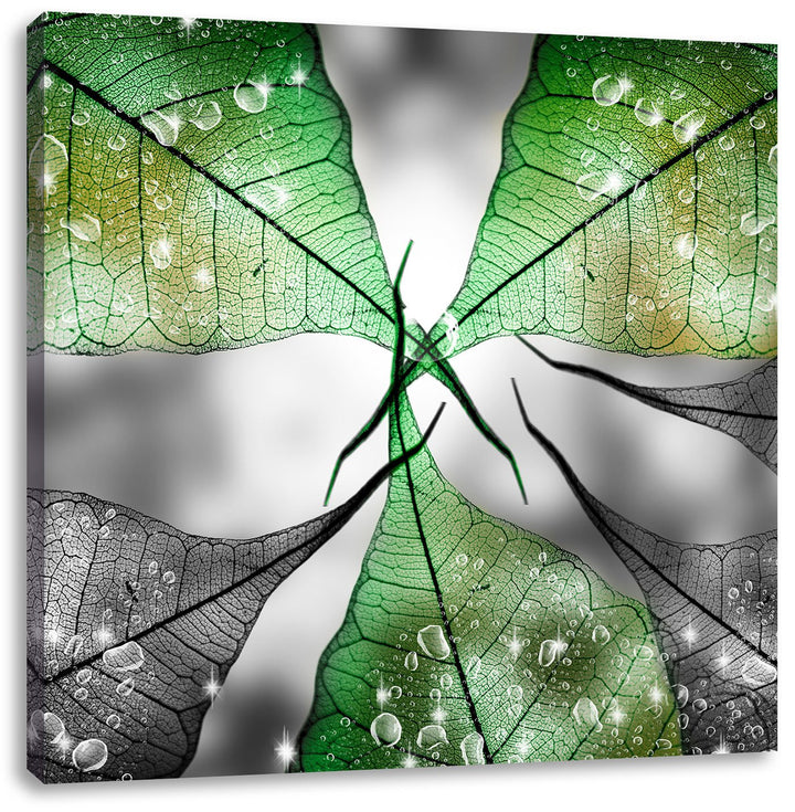 Pixxprint grüne Blätter mit Wassertropfen schwarz/weiss, Format: 70x70 auf Leinwand, 70x70