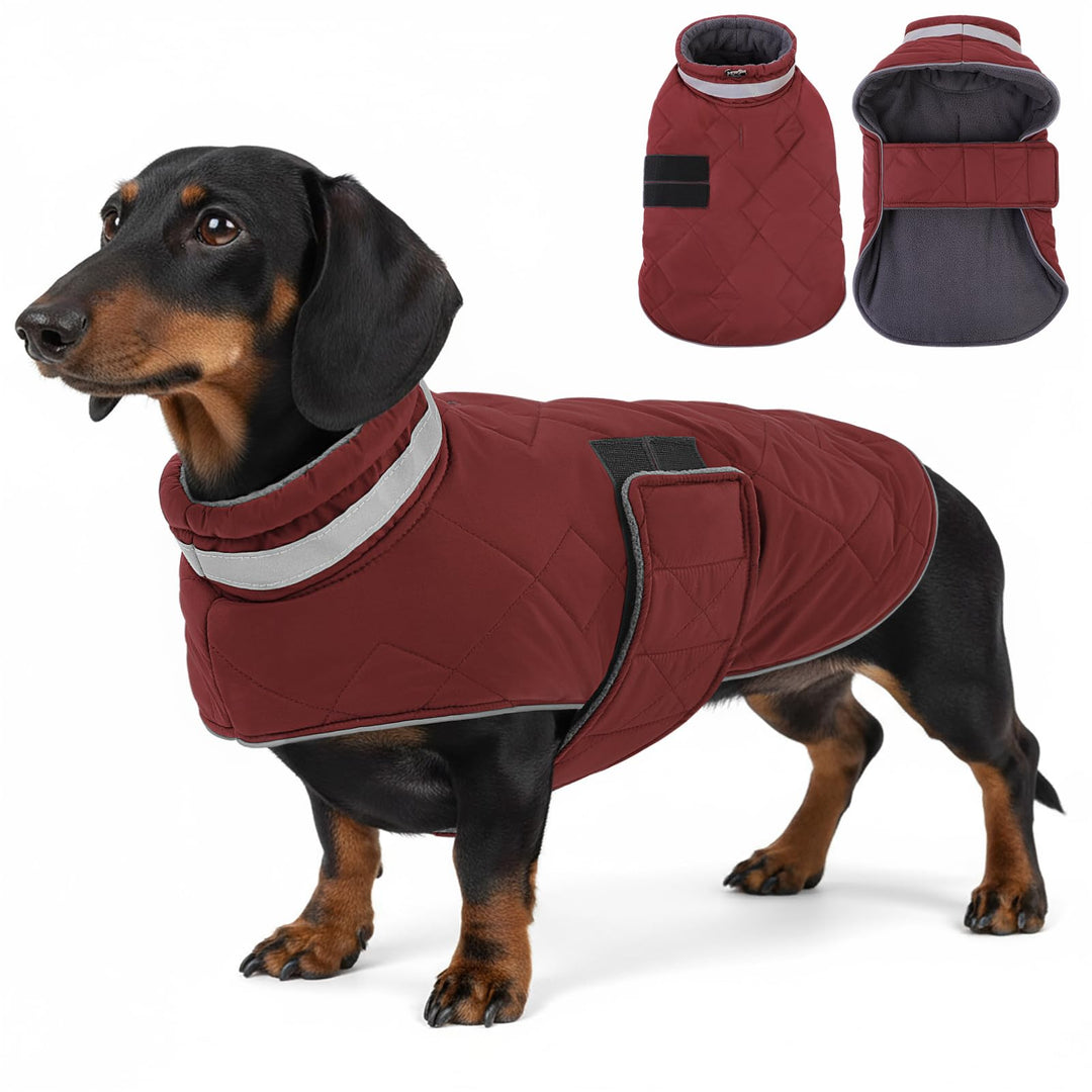 ASENKU Hundemantel Winter - Wasserdicht &amp; Fleecegefüttert für kleine Hunde S Rot, S Rot