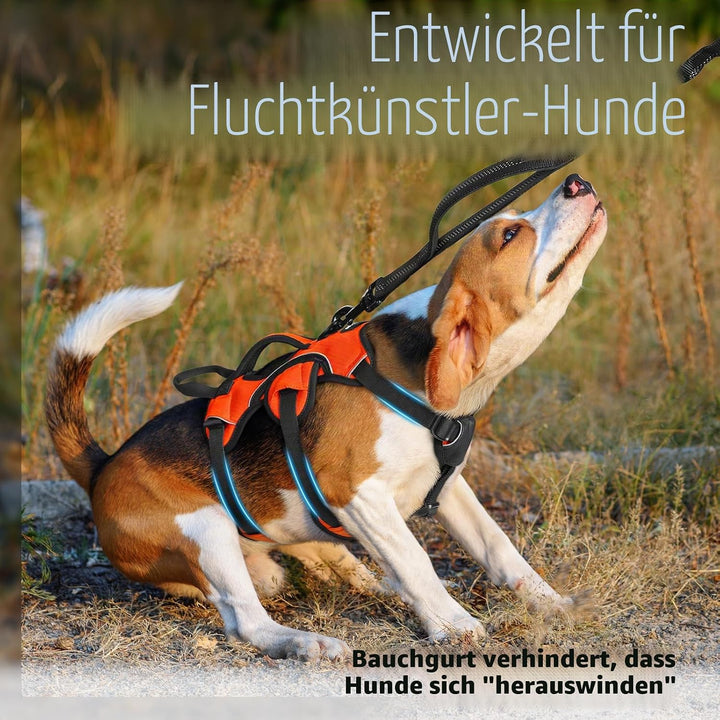 rabbitgoo Ausbruchsichere Hundegeschirr Kleine Hunde mit Griff, Anti Zug Sicherheitsgeschirr Hund At