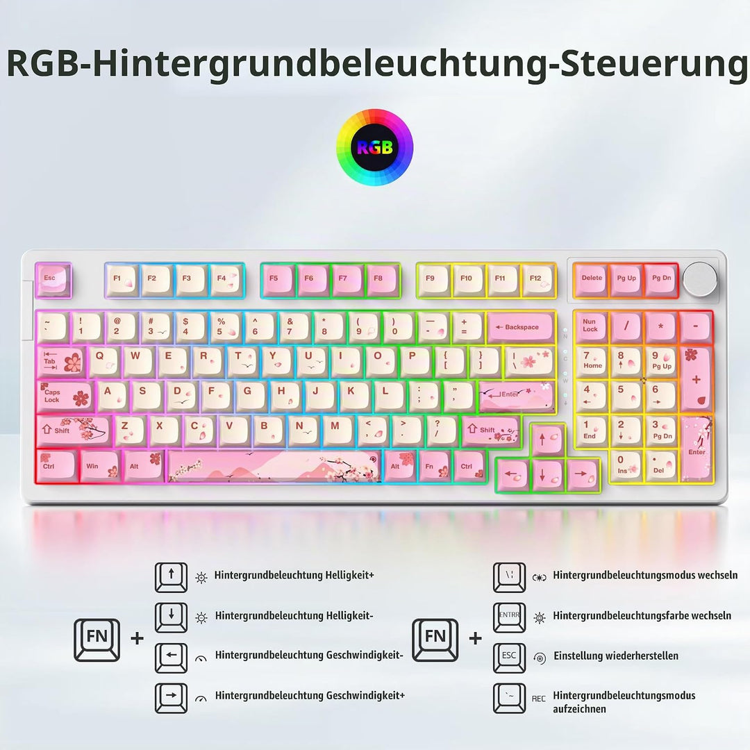 SOLIDEE Verkabelte 95% Mechanische Gaming-Tastatur,Hot-Swap-Fähige Mechanische Tastaturs,Gasket Stru