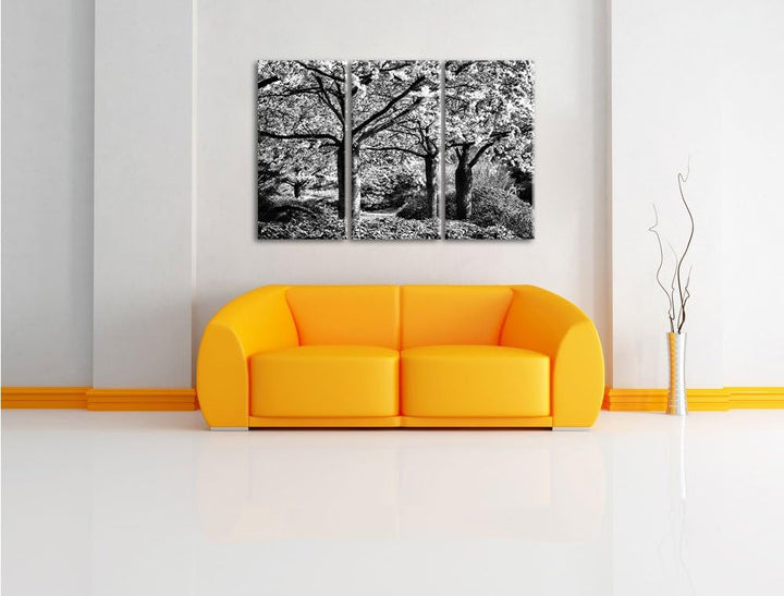 Pixxprint Rosa blühende Kirschbäume als Leinwandbild/Grösse: 3 Teilig (120x80) cm/Wandbild/Kunstdruc