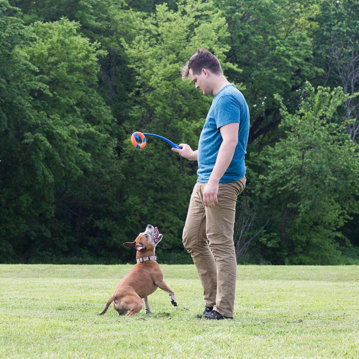 Chuckit! CH32138 Ring Chaser
