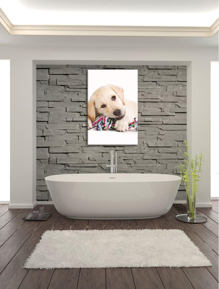 Pixxprint Hundewelpe, Format: 100x70 auf Leinwand, XXL riesige Bilder fertig gerahmt mit Keilrahmen,