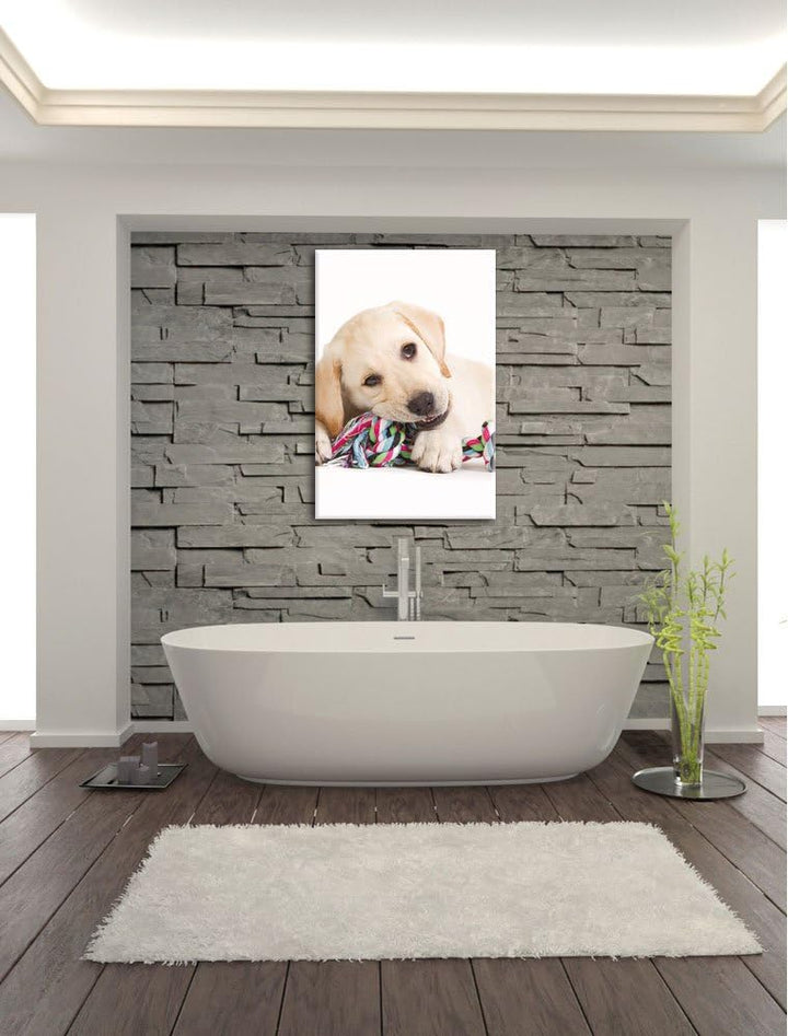 Pixxprint Hundewelpe, Format: 100x70 auf Leinwand, XXL riesige Bilder fertig gerahmt mit Keilrahmen,