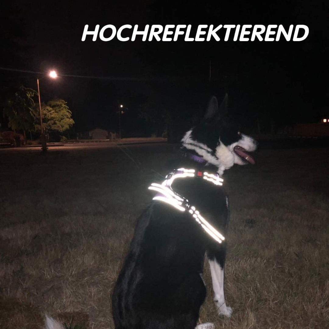 PoyPet Keine Pull Hundegeschirr Front Reflektierende Pet Weste für Hunde mit Einfache Kontrolle Grif