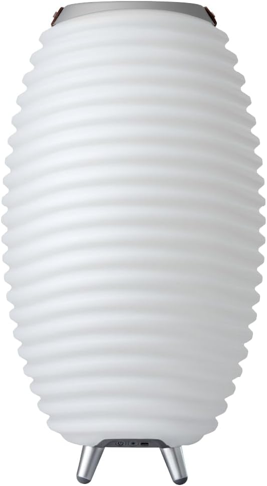 Kooduu Synergy 50 Tragbare Lautsprecherlampe mit Weinkühler - Dimmbares LED-Licht, drahtloser Blueto