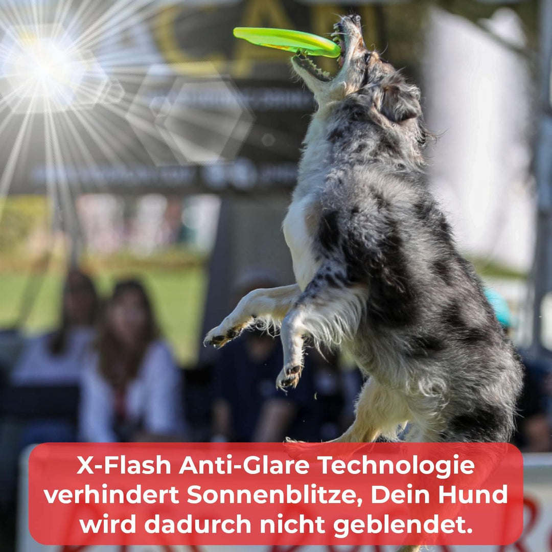 Hyperflite K10 Jawz robuste &amp; bissfeste Hunde Frisbee BLAU X-Flash Anti Glanz | Für grosse &amp; kleine