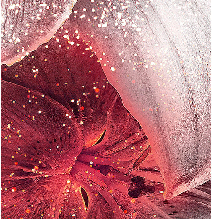 Runa Art Bild Wohnzimmer Schlafzimmer Blumen Lilien 5 Teilig Abstrakt Schwarz Rot Wandbilder auf Vli