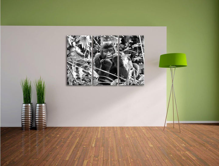 Pixxprint Monocrome, Gorilla beim Fressen 3-Teiler Leinwandbild 120x80 Bild auf Leinwand