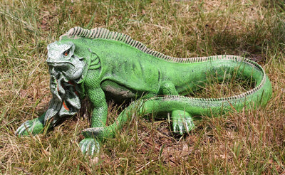 colourliving Leguan Figur 52 cm grün Echse Reptilien Dekofigur Gartenfigur Tierfigur exotische Dekor