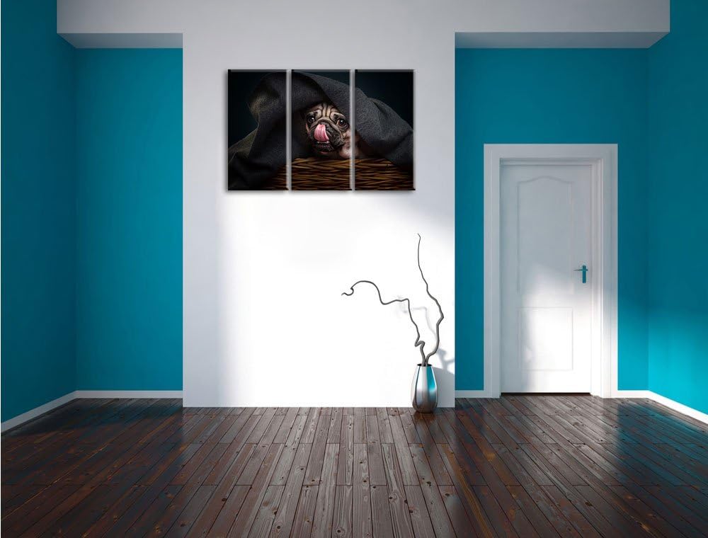 Pixxprint Süsser Mops unter der Decke als Leinwandbild/Grösse: 3 Teilig (120x80) / Wandbild/Kunstdru
