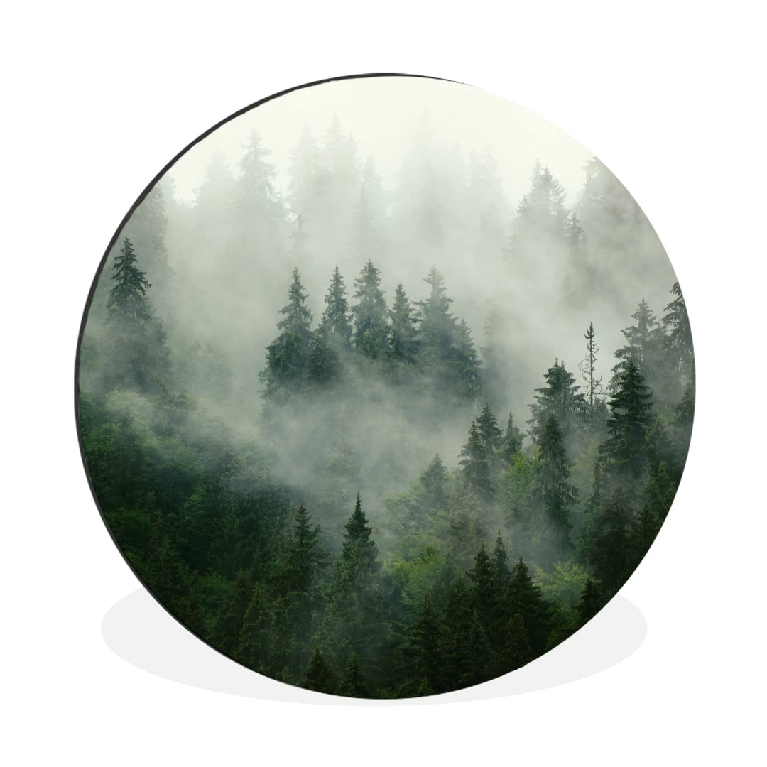 MuchoWow Wandbild Rund Wanddeko Deko Wohnzimmer Bilder 90x90 cm Wald - Nebel - Bäume - Natur, 90x90