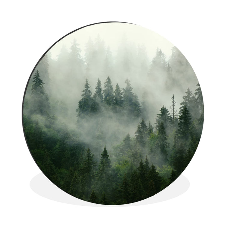 MuchoWow Wandbild Rund Wanddeko Deko Wohnzimmer Bilder 90x90 cm Wald - Nebel - Bäume - Natur, 90x90