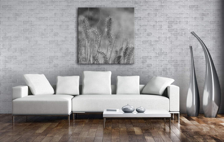 deyoli schöne Weidengräser Format: 70x70 Effekt: Schwarz&Weiss als Leinwandbild, Motiv fertig gerahm