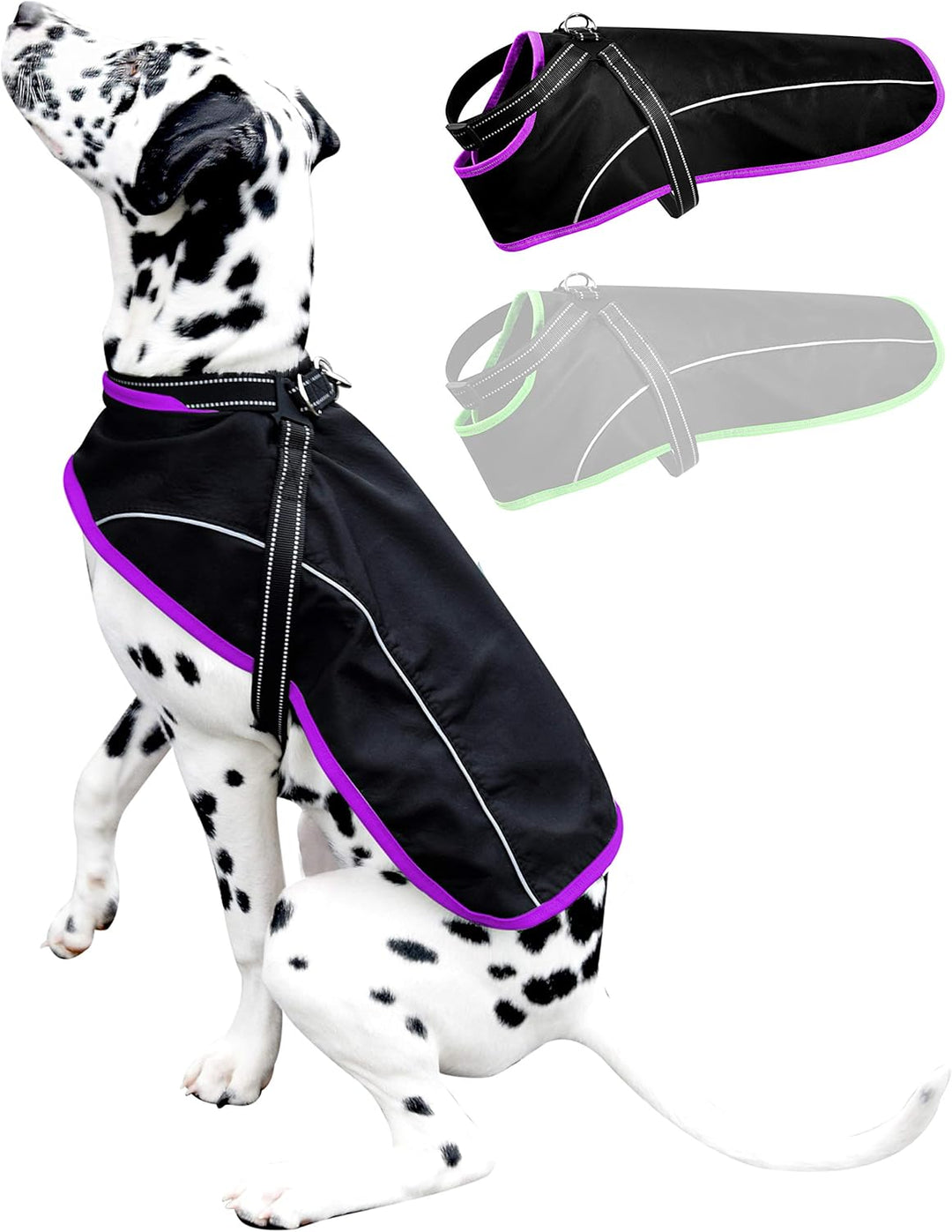 ne&no Hunde Regenjacke mit Geschirr (M, lila) - Wasserdicht, Reflektierend, für kleine, mittelgrosse