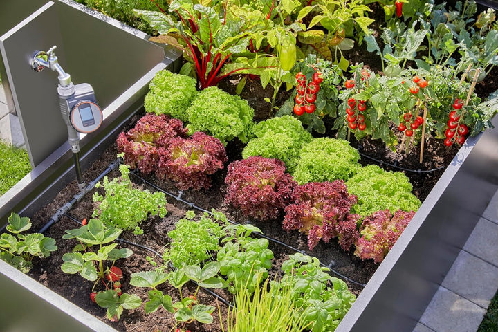 Gardena Micro-Drip-System Tropfbewässerung Set Hochbeet/Beet (35 Pflanzen): Starter-Set sofort einsa