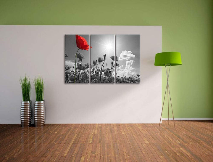 Pixxprint Mohnblumenfeld im Sommer als Leinwandbild | Grösse: 3 Teilig (120x80) | Wandbild| Kunstdru