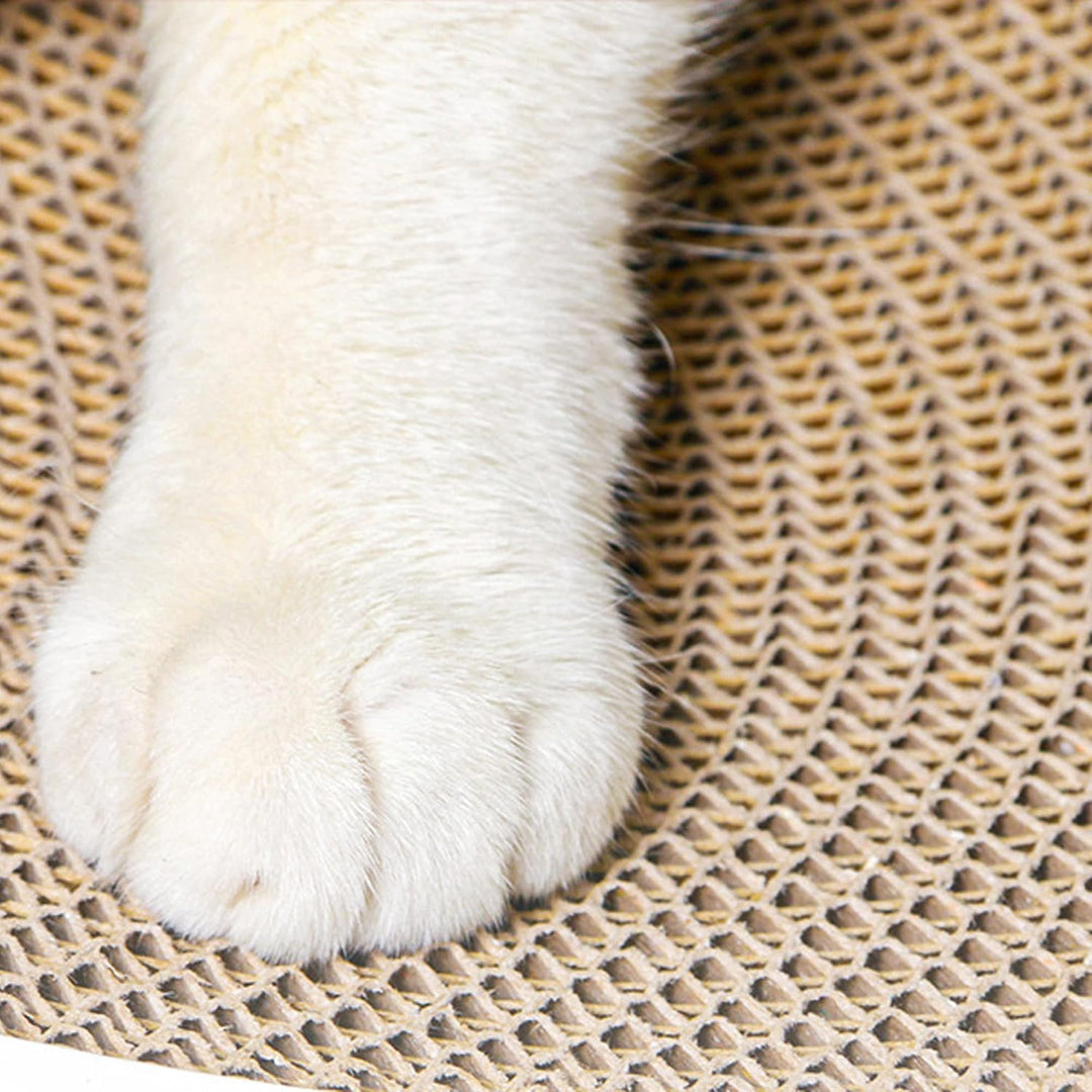 Kratzbrett für Katzen, Katzenkratzer, Interaktives Katzenspielzeug, Katzen Kratzbrett, Katzenkratzbr