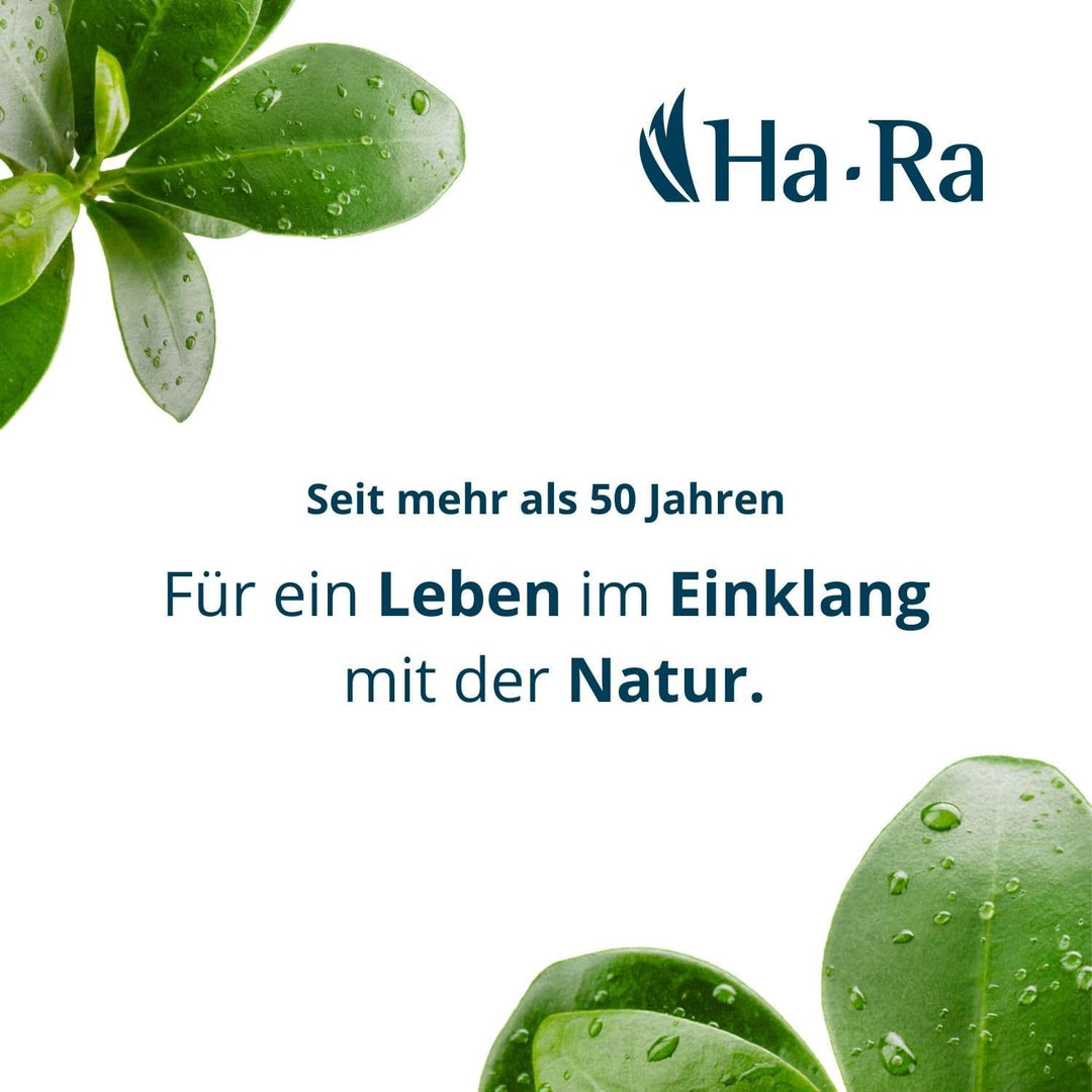 Ha-Ra Set Bodenexpress aus Edelstahl mit Mach 6 Bodenfaser &amp; 500 ml Konzentrierte Vollpflege I Unive