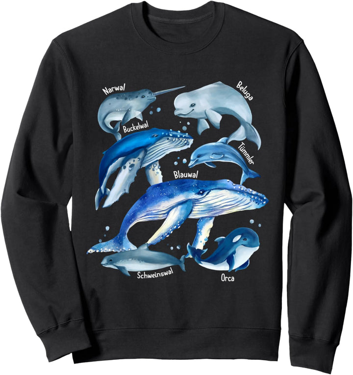 Walarten Verschiedene Wale Blauwal Orca Narwal Beluga Sweatshirt