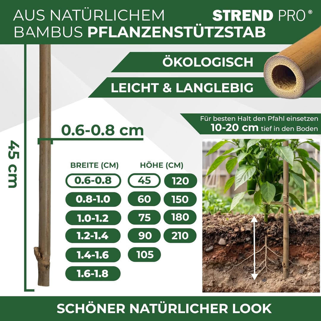 STREND PRO Bambusstäbe 45 cm - 10er Set | Ø 6-8 mm Natürliche Holzstäbe | Pflanzstäbe & Rankhilfe |