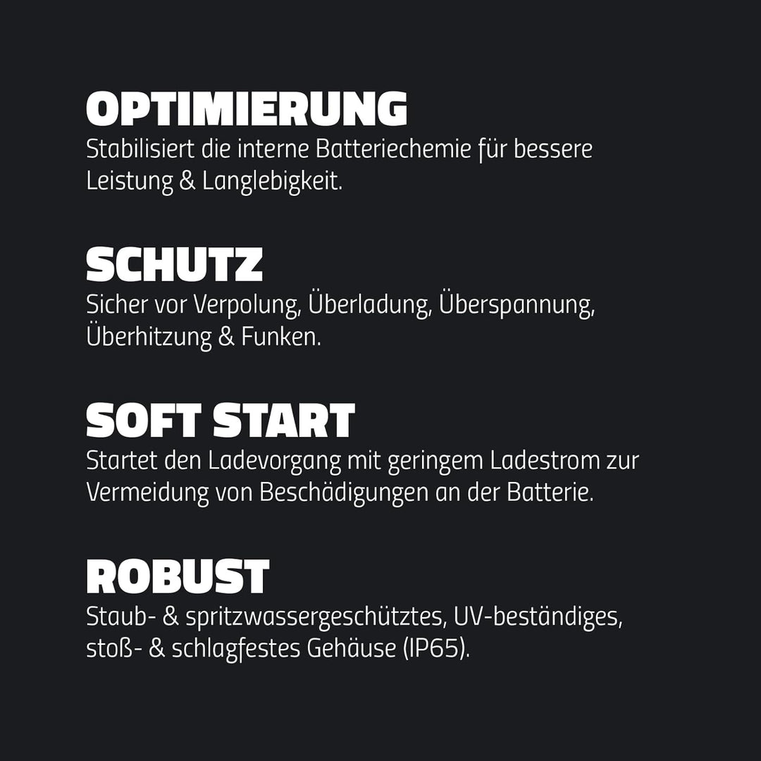 intAct ChargeBox Ladegerät für Motorradbatterien & Rollerbatterien | 0,8A Batterieladegerät für 6V u