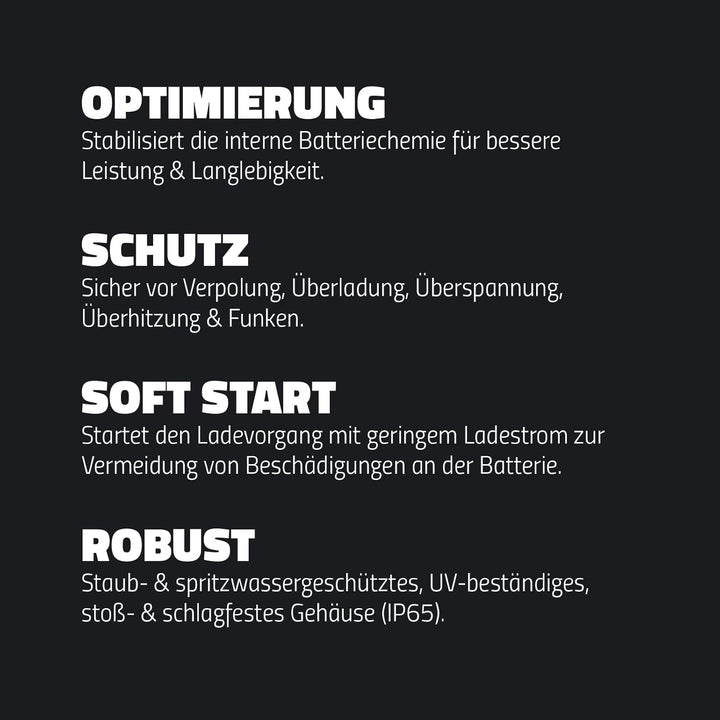 intAct ChargeBox Ladegerät für Motorradbatterien & Rollerbatterien | 0,8A Batterieladegerät für 6V u