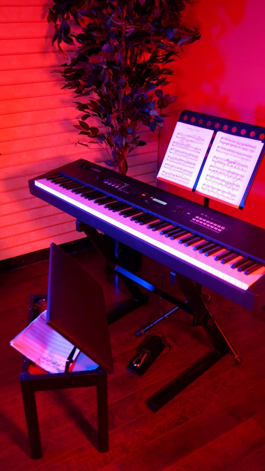 Gator Frameworks Deluxe-Keyboard- und Klavierbank aus Holz mit aufklappbarem Ablagefach; Schwarz (GF