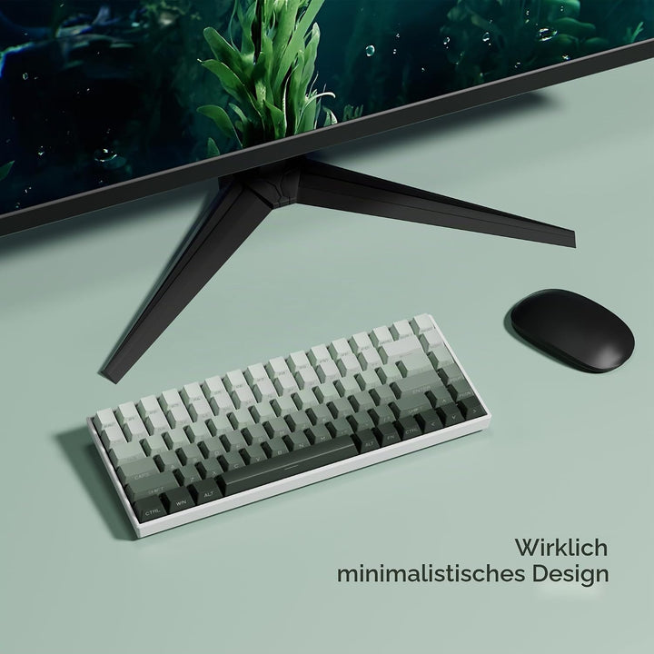 XVX Shine Through Gradient Seaweed Green Keycaps - Side Print, Double Shot PBT, 136 Tasten, OEM-Prof