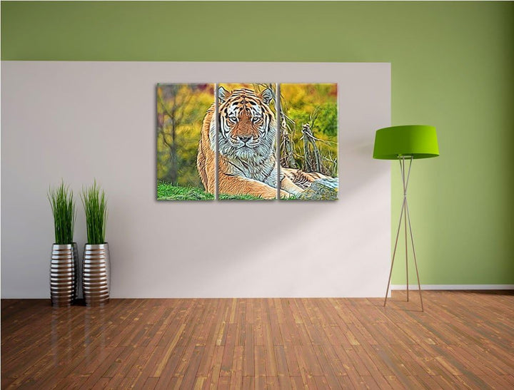 schöner Tiger auf Wiese NewArt 3-Teiler Leinwandbild 120x80 Bild auf Leinwand, XXL riesige Bilder fe