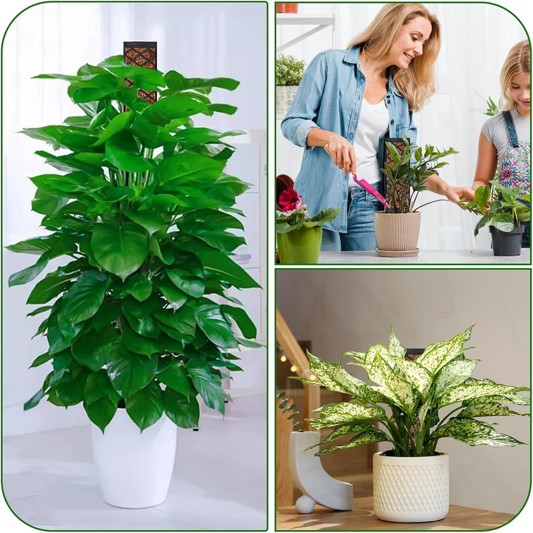 Moosstab für Monstera Rankhilfe Zimmerpflanzen Rankhilfe Monstera Pflanzstab Rankstäbe Plastik Mit P