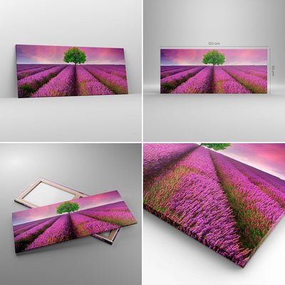 Wandbilder Dekoration Wohnzimmer Wiese lavenda Sommer Landschaft Panorama Bilder auf Leinwand 120x50