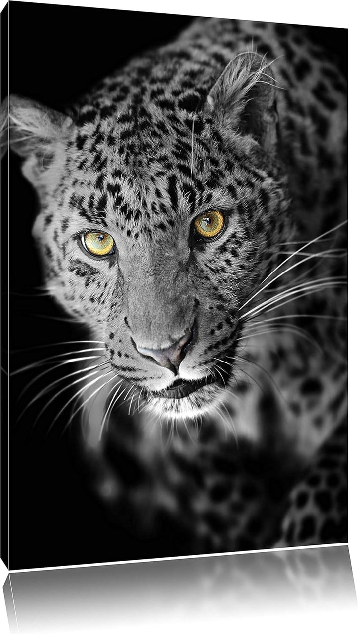 Dark prächtig anmutiger Leopard schwarz/weiss Format: 100x70auf Leinwand, XXL riesige Bilder fertig