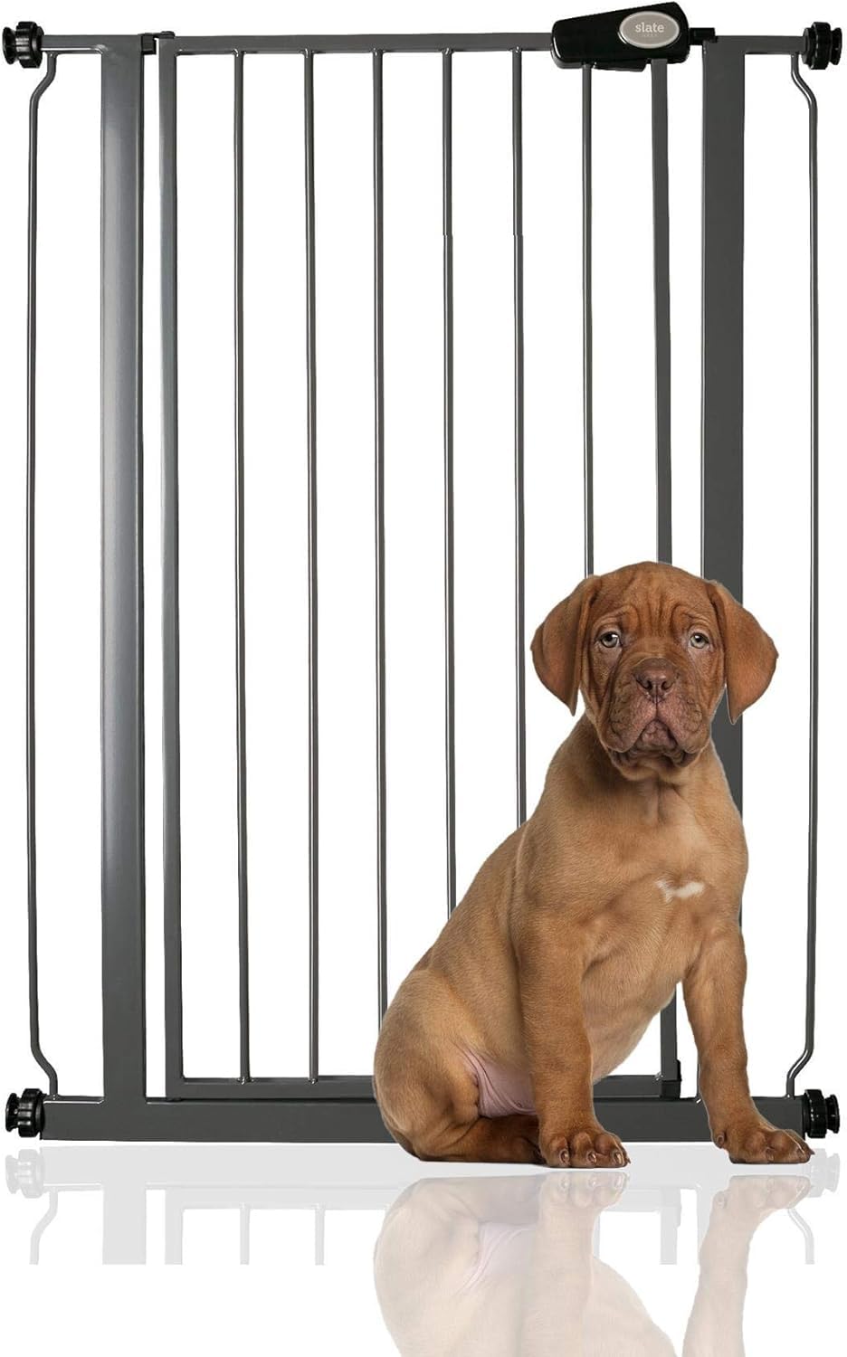 Bettacare Extra Tall Druckmontierte Premium Haustiergitter, 75cm - 84cm, Schiefergrau, Druckmontiert