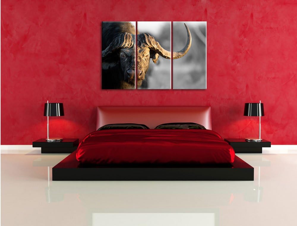 Pixxprint Kaffernbüffel mit kräftigen Hörnern B&W Detail 3-Teiler Leinwandbild 120x80 Bild auf Leinw