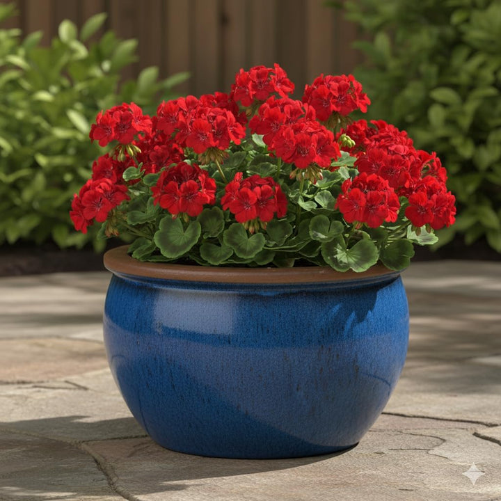 Teramico Blumentopf Pflanzgefäss Übertopf Modell Bavaria Grün Blau Verschiedene Grössen - absolut fr